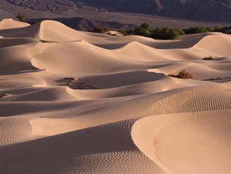 葫蘆 沙中土命是什麼意思